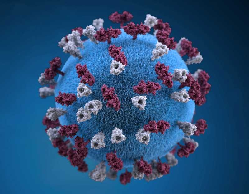 A형 독감 전염성 및 치사율은?